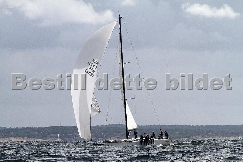 ORCi 431.jpg